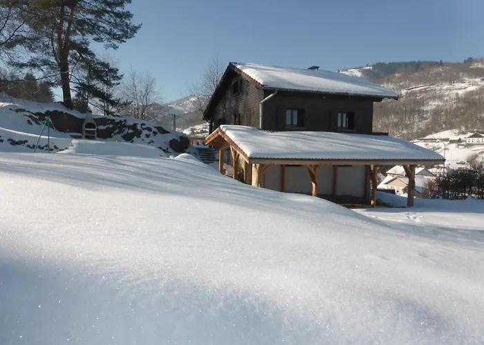 Chalet Le Grand Tetras La Bresse
